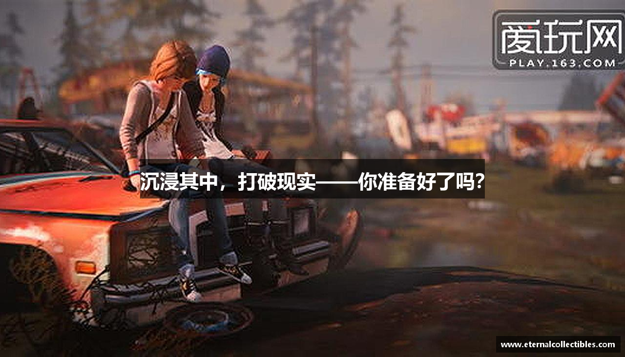 贝博bb平台体育网页版